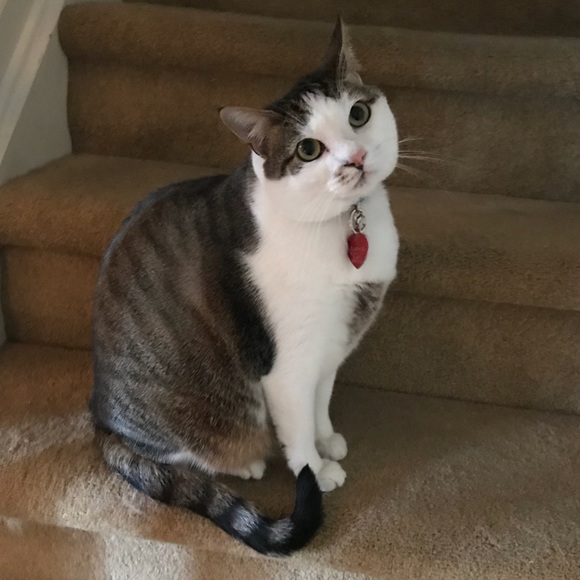 Meet your Posher, Mary - Picture 7 of 16